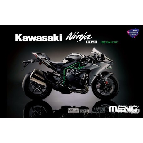 Kit modello Kawasaki Ninja H2 (edizione precolorata)