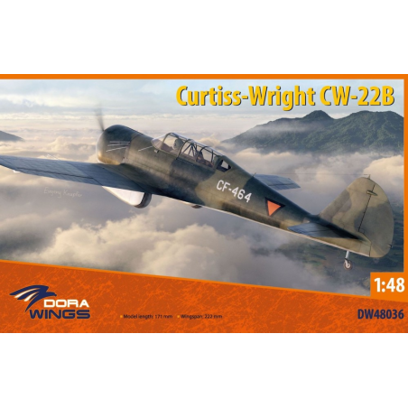Kit modello Curtiss-Wright CW-22