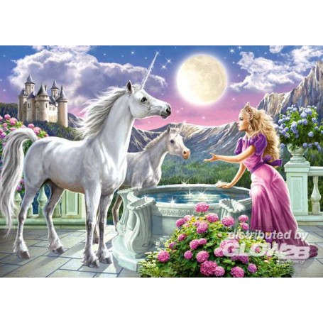 Puzzle Principessa e le sue Unicorns, Puzzle 120 Tei