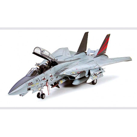 <p>Kit modello</p>
 Grumman F-14A Tomcat Black Knights′ . Updated kit including new weaponry.